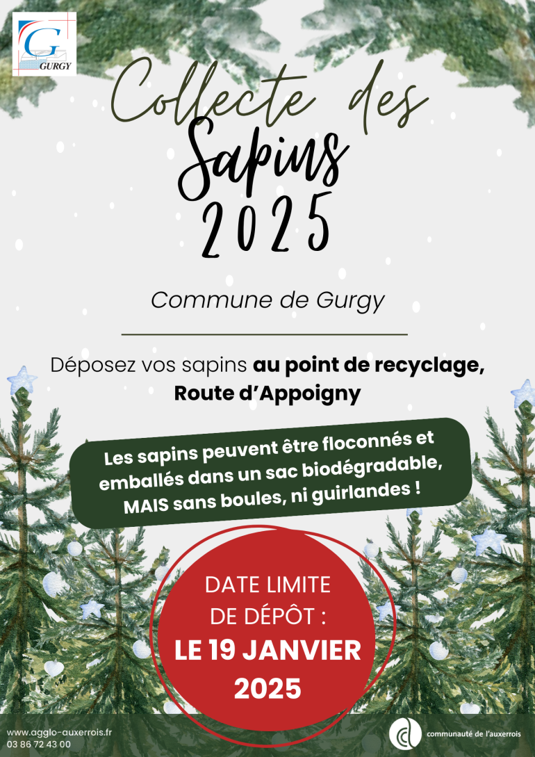 Collecte des sapins de noël 2025